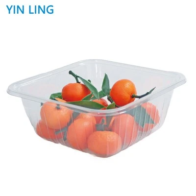 Thali desechable de 5 compartimentos.